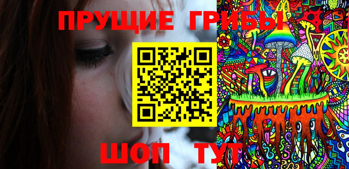 Псилоцибиновые грибы Cubensis Октябрьский