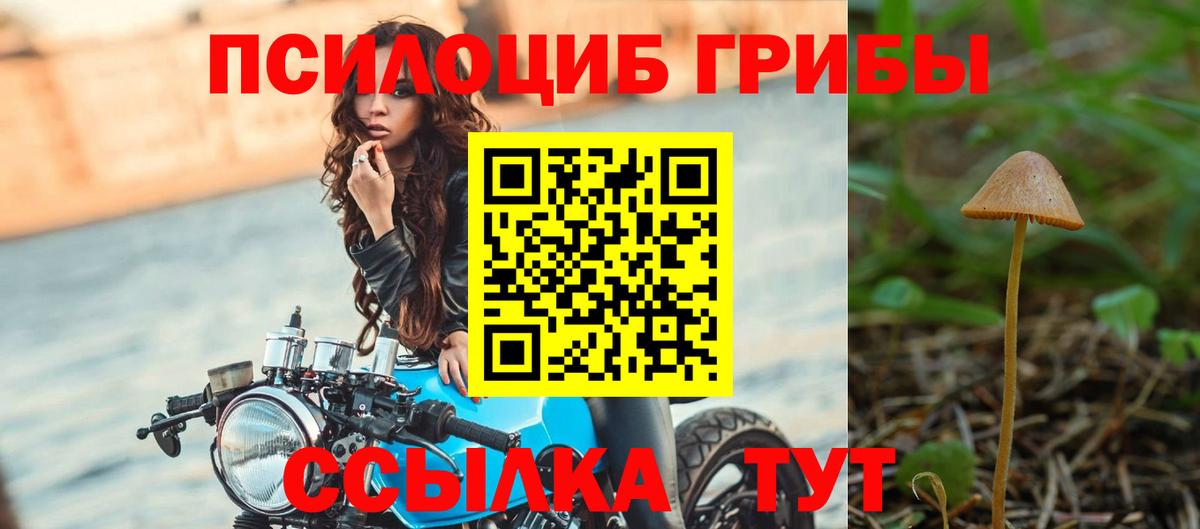 Октябрьский  Галлюциногенные грибы Cubensis  сколько стоит  Вход с VPN 